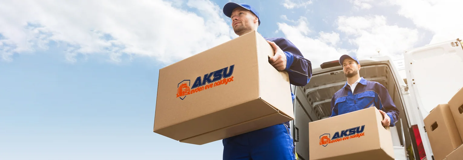 Profesyonel Ellerle Taşınma